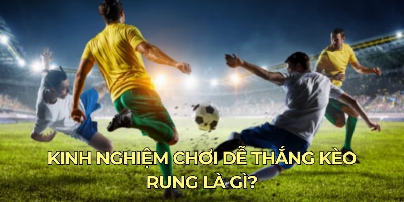 Kinh nghiệm chơi dễ thắng kèo rung là gì?