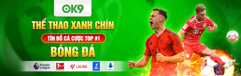 Giới thiệu về sảnh thể thao OK9