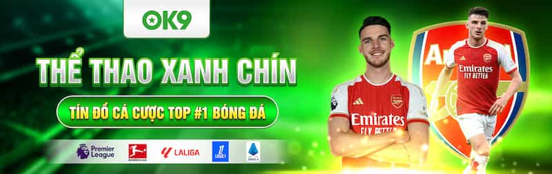 Ưu điểm cá cược thể thao tại Ok9